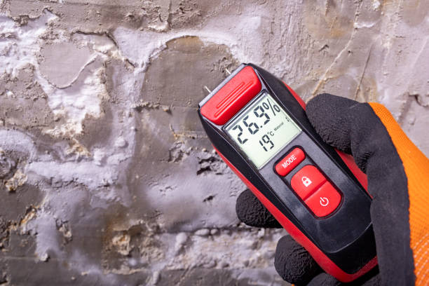 Mold Removal and Inspection in Palmetto Estates, FL