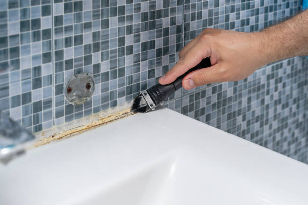 Best Mold Removal Near Me  in Palmetto Estates, FL